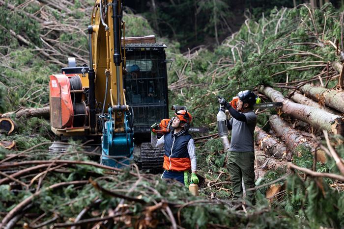 契約する山林で伐採、管理する佐藤木材の社員たち