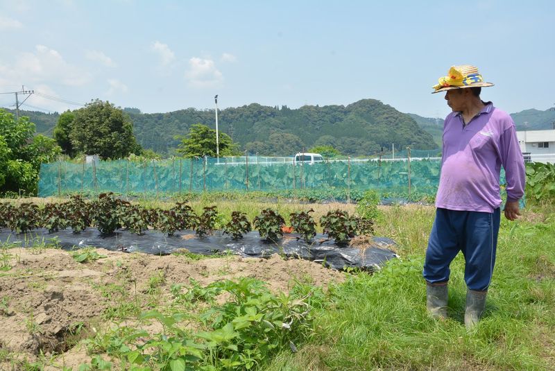 浜田昇児川辺の村10号　日本画 人影消えた集落、荒れ果てた田…球磨川流域に日常が戻る日は