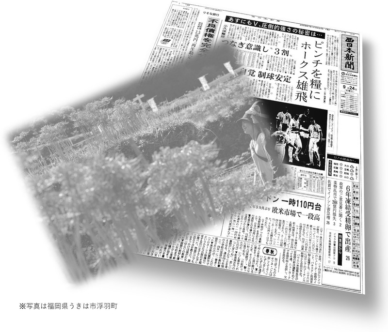 あの日の春秋 ごんぎつねの故郷に咲く彼岸花 03年9月24日 西日本新聞me